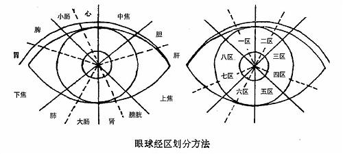 中医诊断神医眼诊图谱