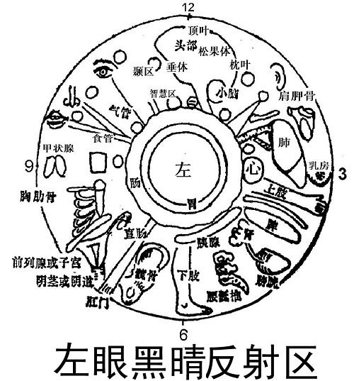 倪海厦讲眼诊图解图片