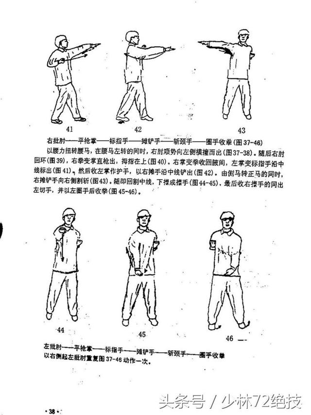 咏春拳经典函授