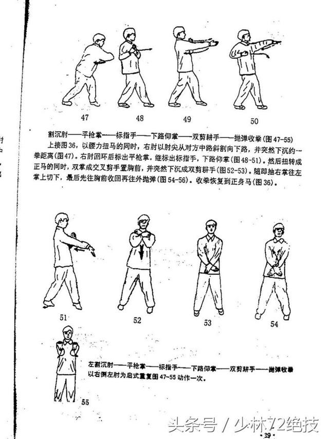 岑能咏春十二散式图片