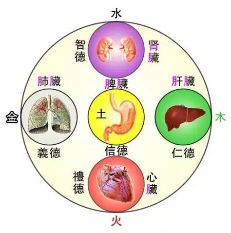 女人,你不懂中醫五行,擦什麼化妝品都沒用!