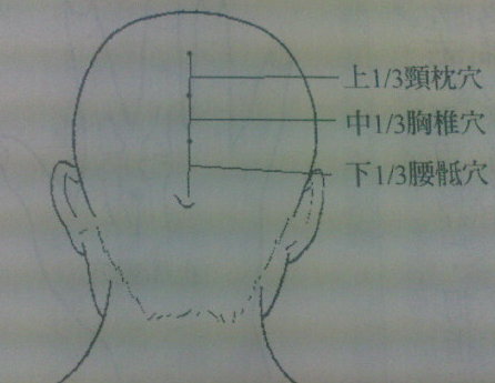 脊柱穴 - 好网角收藏夹