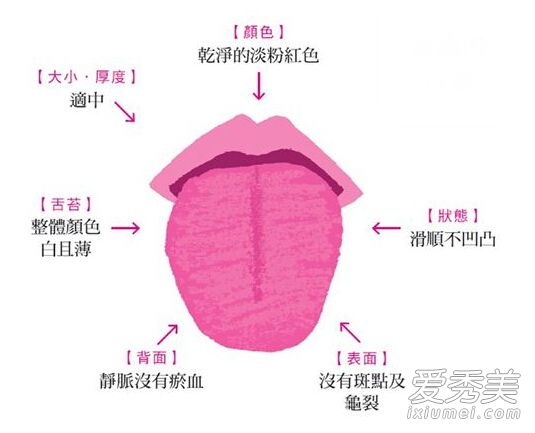 舌头的检查重点(早上起床时检查)大小,厚度;颜色;状态;舌苔;背面舌头