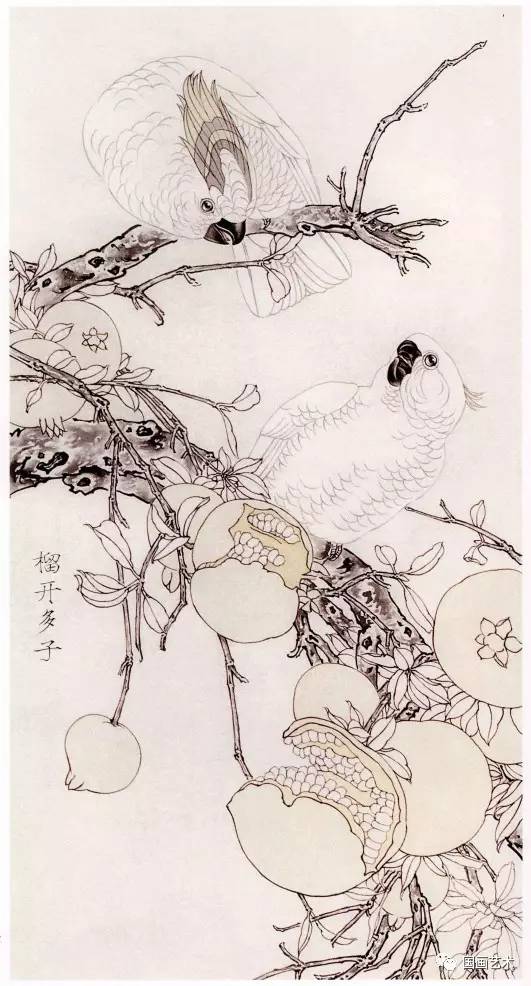 图文教程工笔花鸟榴开多子画法步骤
