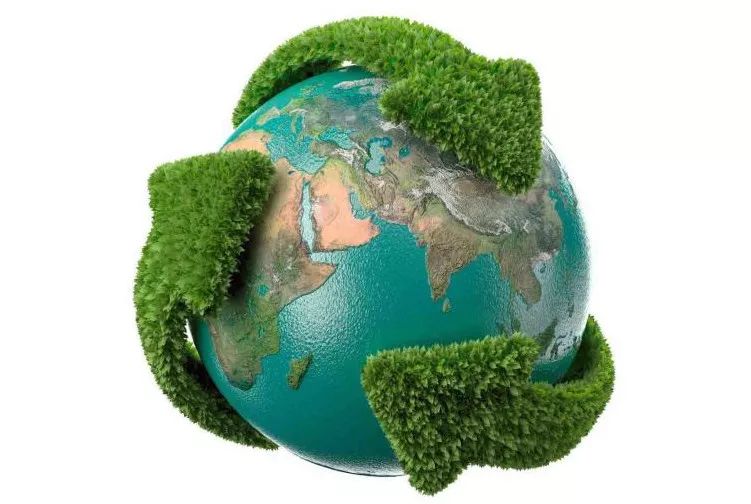 环保面料丨可降解材料的前世今生