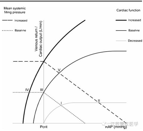循环系统可看作是心脏输入和输出曲线的组合,在几个心跳之内,静脉回流