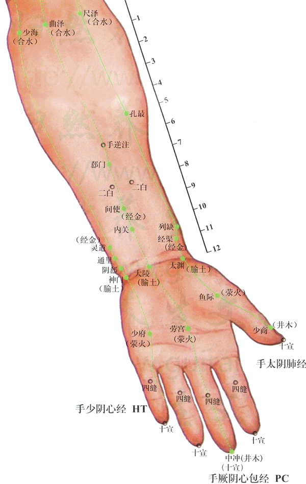 肺朝百脉,脉会太渊;肺主气,主呼吸,气为血之统帅,此处穴位开于寅,得气