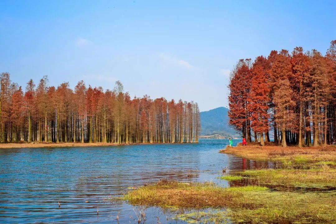 风水师看风水是真的吗_风水师_风水师不务正业日常