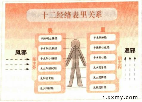 12經絡概述名稱走向與時辰歌訣圖表