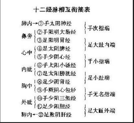 12經絡概述名稱走向與時辰歌訣圖表