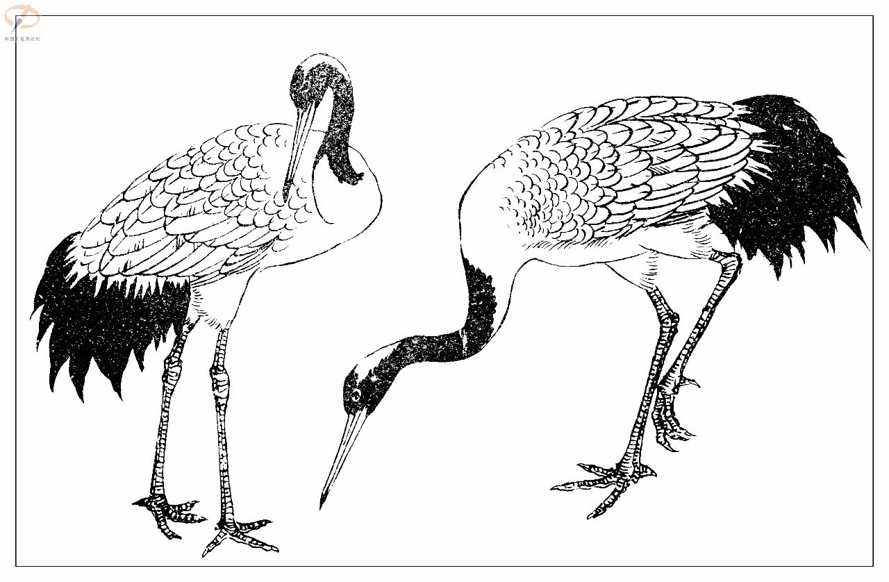 孫其峰著百鳥白描譜二學畫必備經典教科書獨家