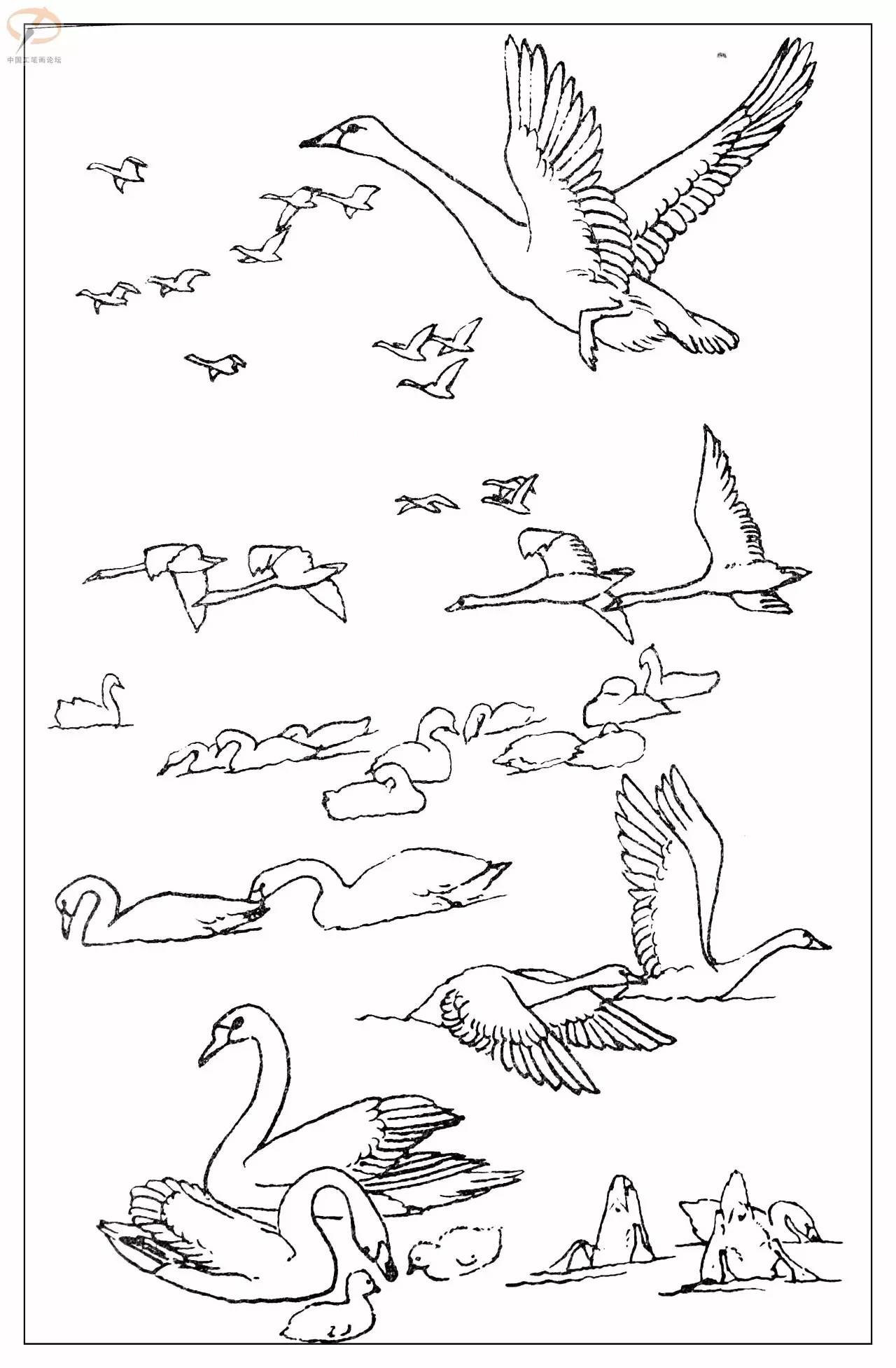 工笔画论坛微信公众平台id:工笔画论坛中国工笔画论坛网址:www.