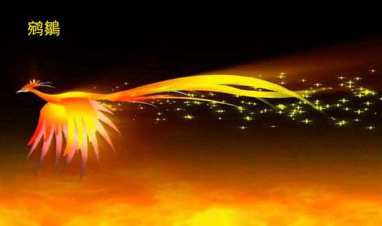 鸿鹄是大雁和天鹅的集合体,是白色的凤凰,飞行极为高远,常用来比喻