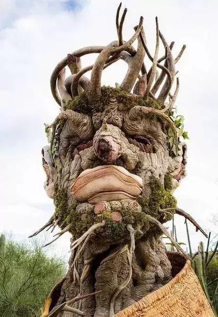 千年的古树绝对震撼你的双眼