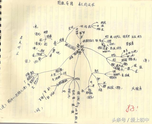 朱自清春思维导图初一学生绘制