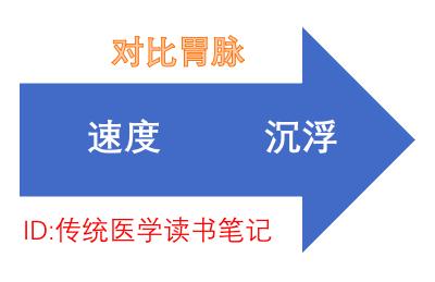 简易号脉原理寸和尺脉参照关脉一呼一吸脉动五次为正常脉