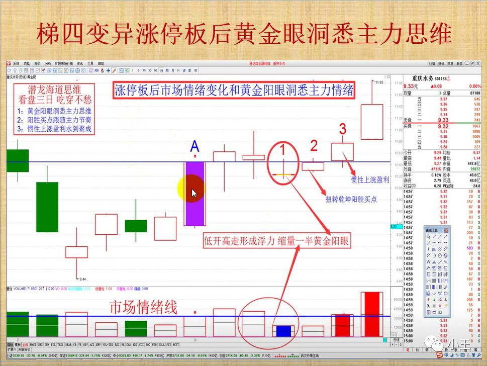 姜灵海-黄金眼战法视频,ppt,通达信指标