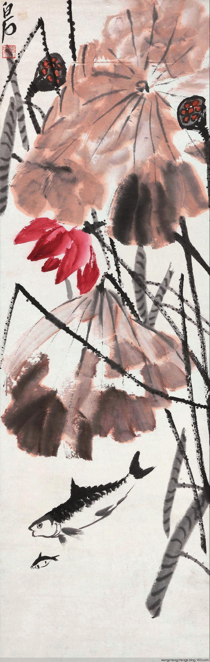 齐白石荷花作品欣赏