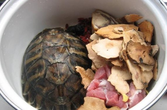 山龟煲土茯苓的做法山龟煲土茯苓怎么做