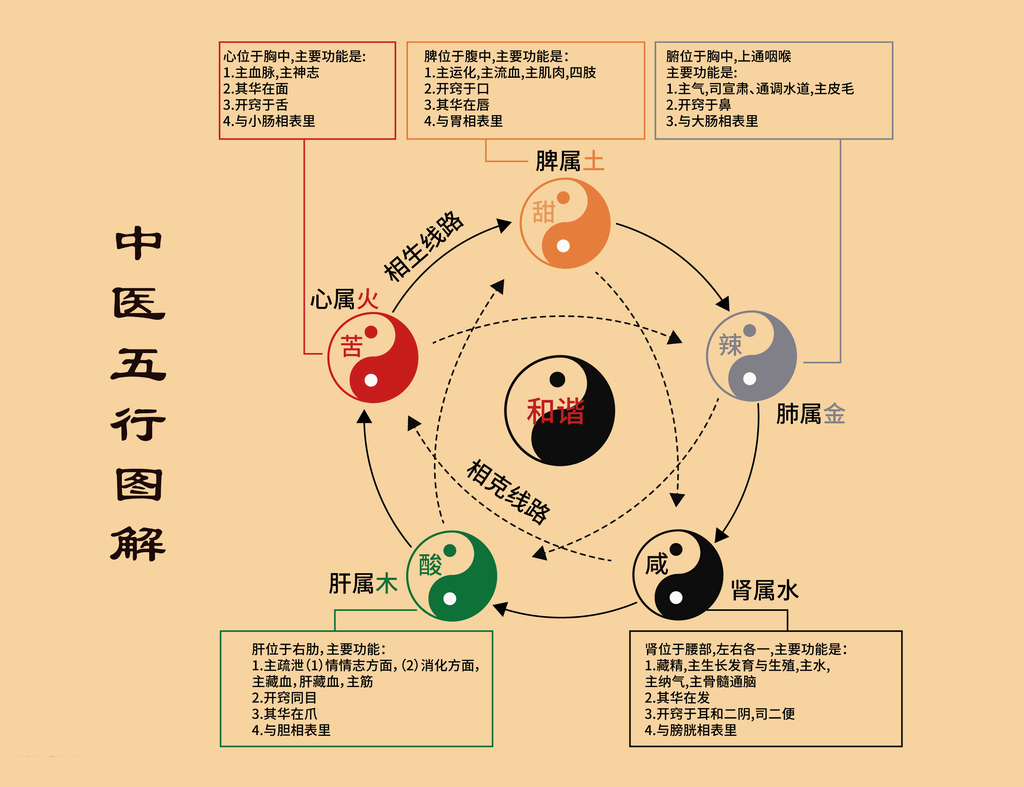 中医五行图 清晰图片