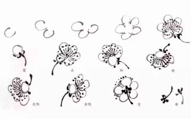 向国画大师学习梅花画法