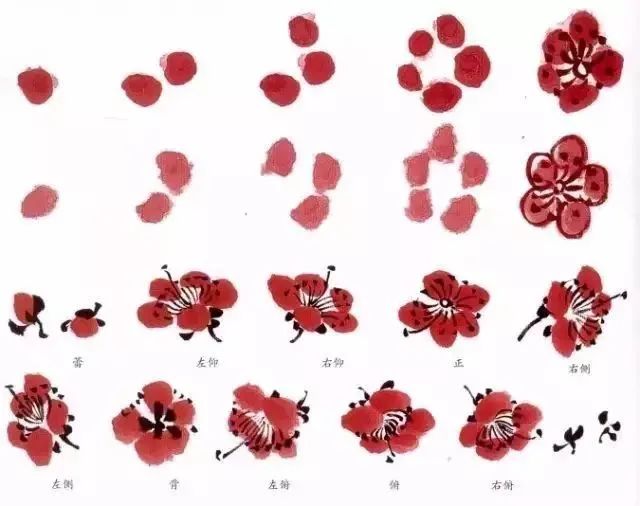 向国画大师学习梅花画法