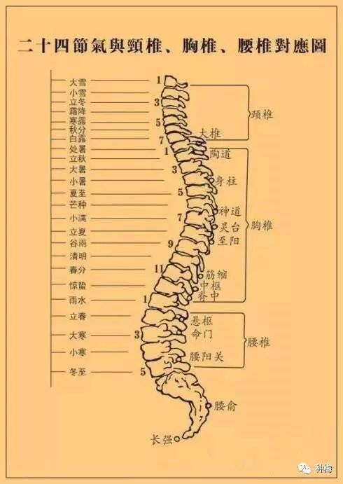 追憶張至順真人張真人親傳道家按摩手法修訂版201801