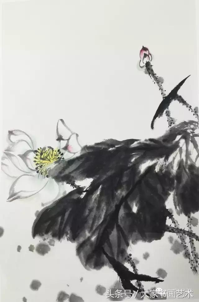 郭书仁教授讲荷花