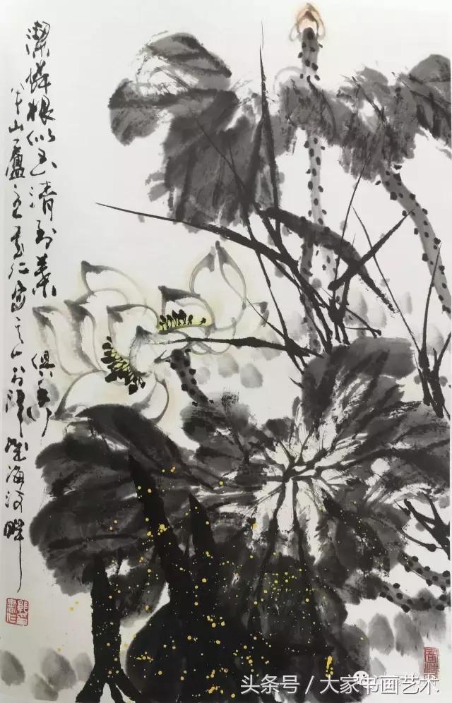 郭书仁教授讲荷花