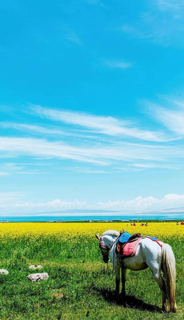 【美图青海】青海到底有多美?每一张照片都可以做壁纸