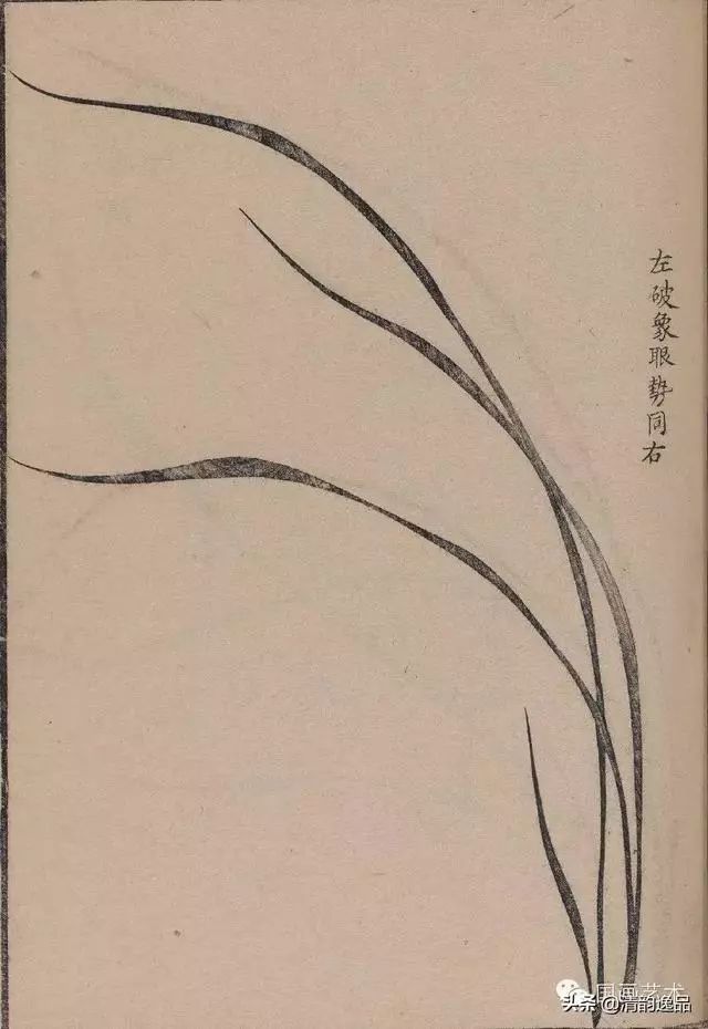 集雅斋《兰谱》欣赏