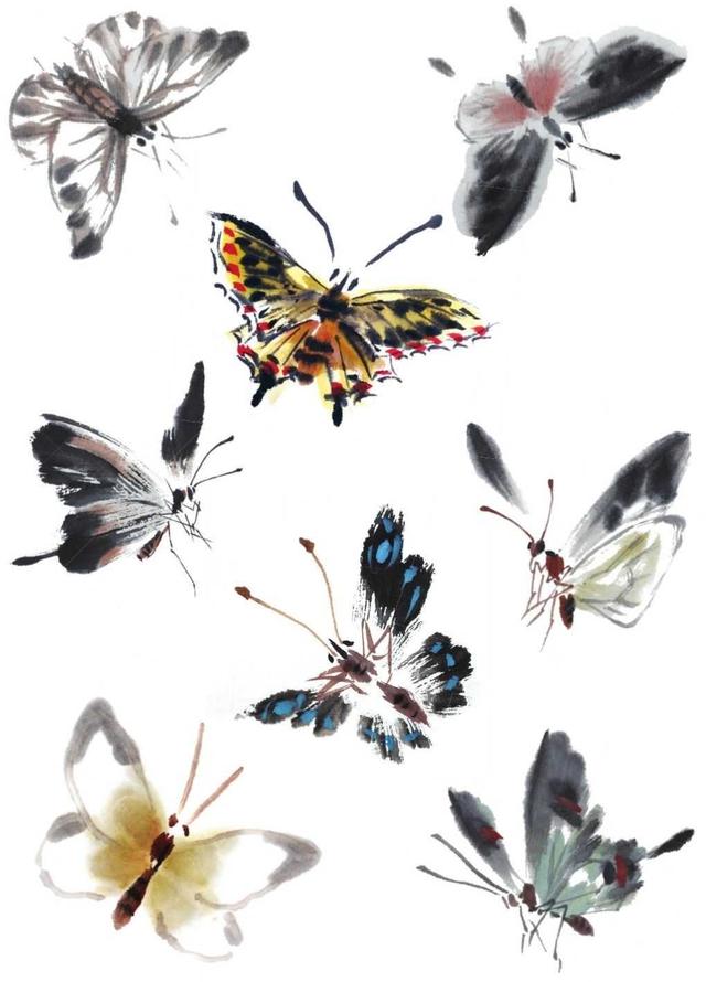 国画知识蝴蝶不会画那是你没有学会这几点画法一起来临摹吧