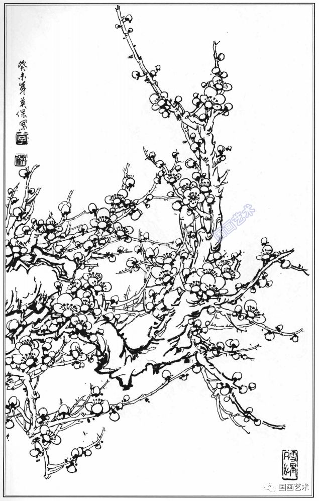 梅兰竹菊白描集萃好美