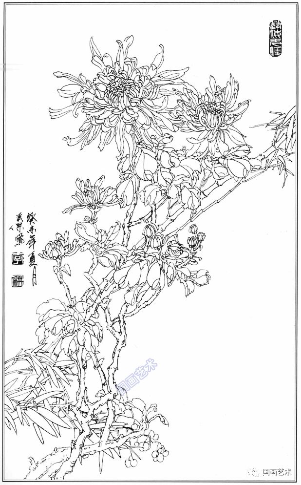 梅兰竹菊白描集萃好美
