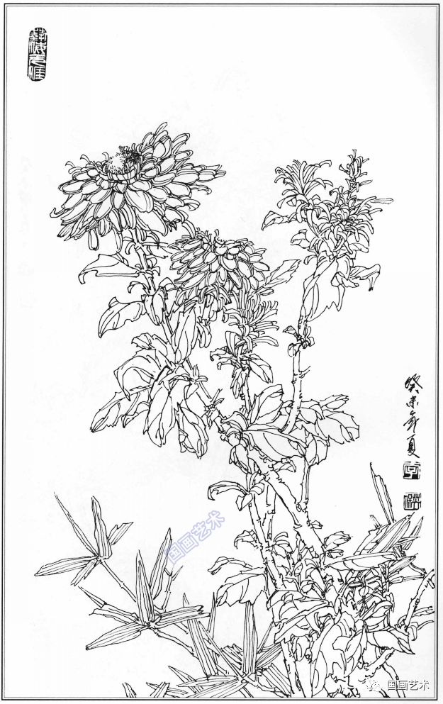 梅兰竹菊白描集萃好美