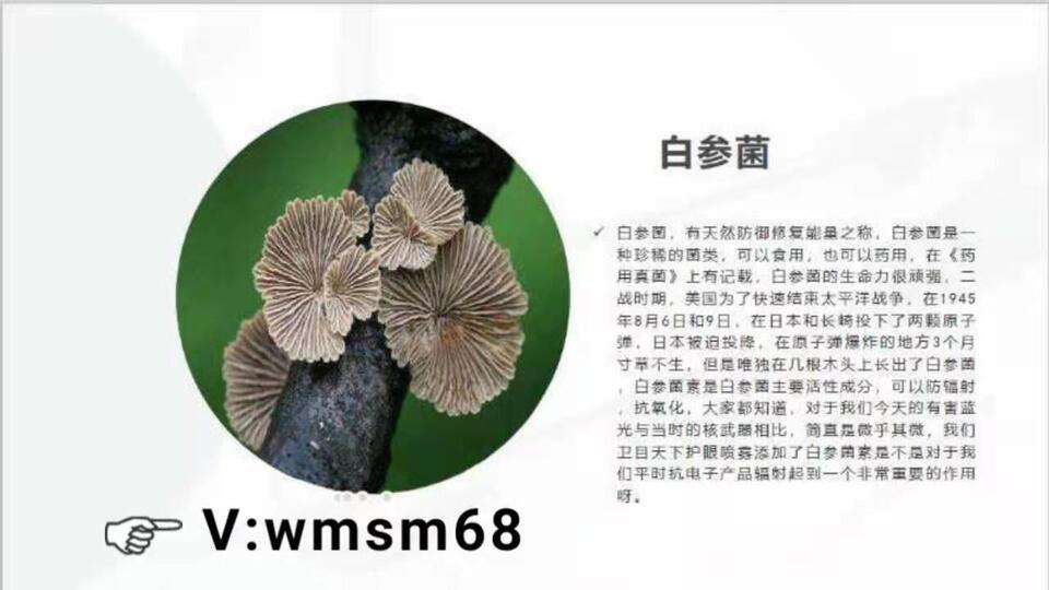 卫目世明成分大揭秘,卫目世明公司背景,卫目世明效果