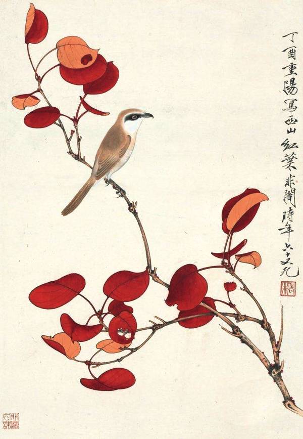 中国当代画家于非闇的工笔花鸟画精品欣赏