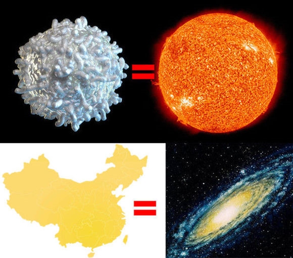 26张图告诉你:为什么说上帝很伟大?[好网角文章收藏]