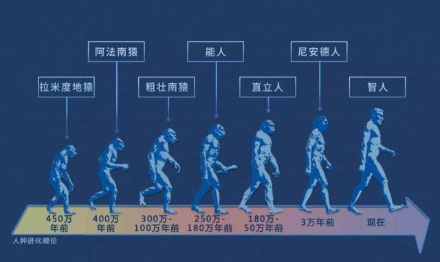 人类是怎么繁衍的(人类是怎么繁衍的10 18)