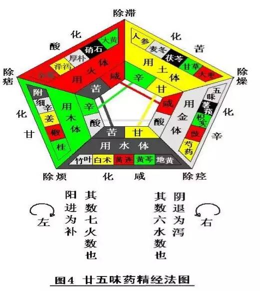 辅行诀脏俯用药法要小补脾汤