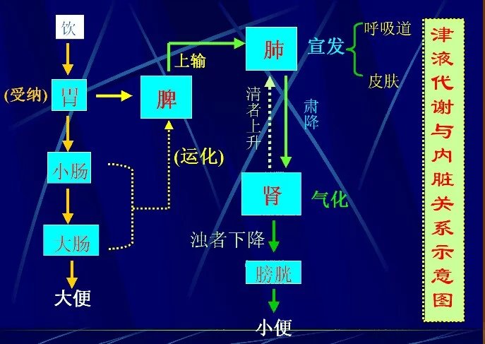 辅行诀脏俯用药法要小补脾汤