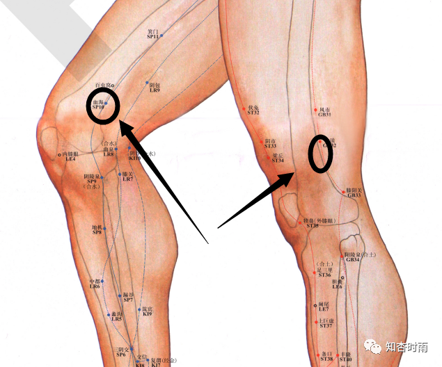 膝盖内侧经络图图片