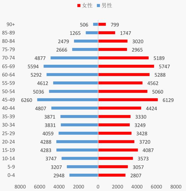 预测中国2035年分年龄男女人口结构(万人) :预测中国2025年分年龄男女