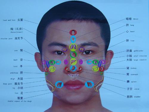 面部五脏分布图中医图片