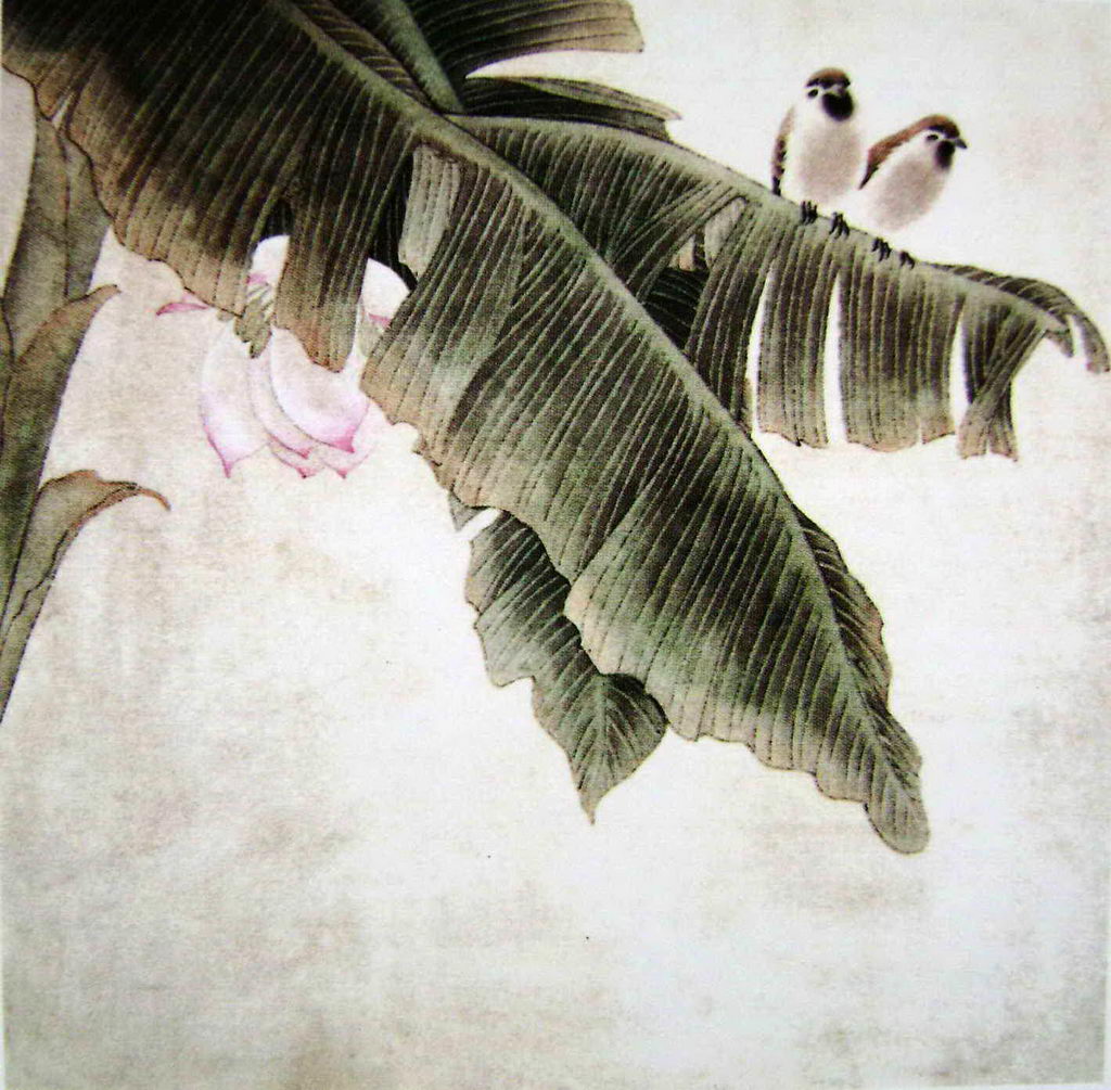 芭蕉工笔技法步骤