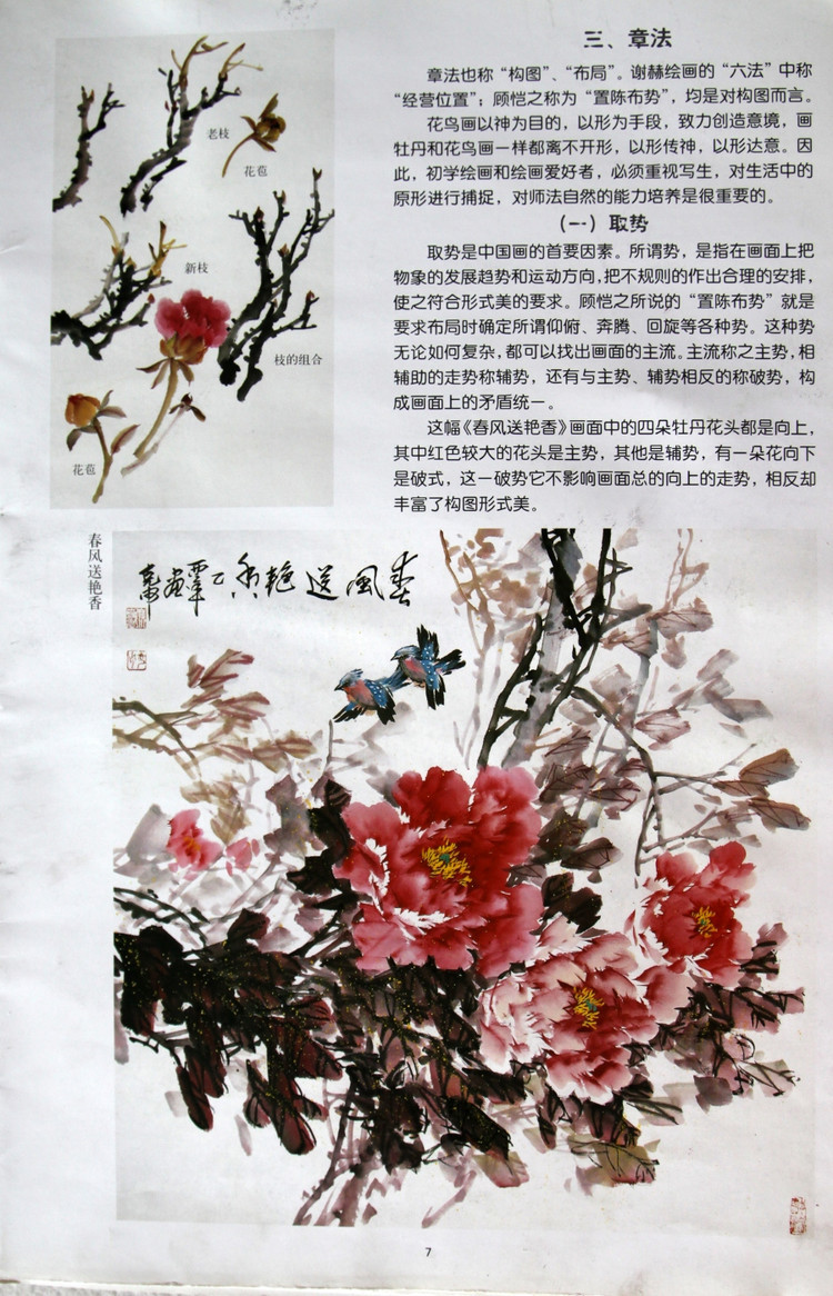 写意牡丹的画法