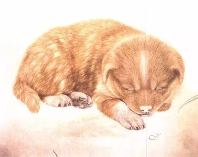 国画狗100图怎样画动物