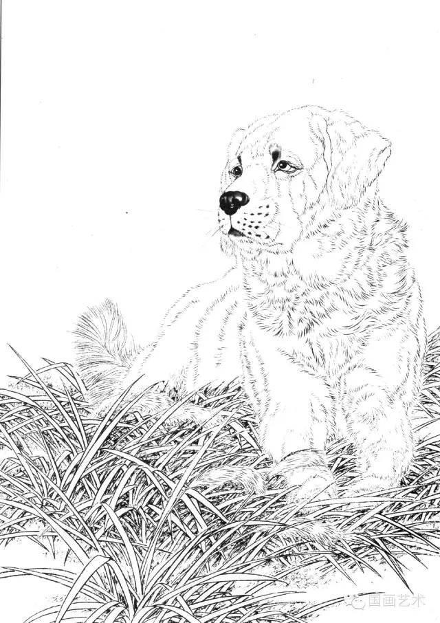 国画狗100图怎样画动物