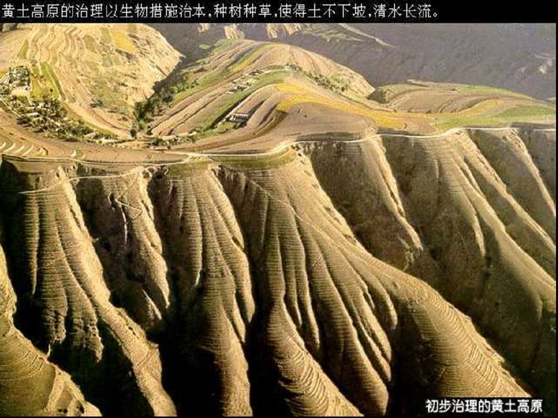 黃土高原水土流失的原因