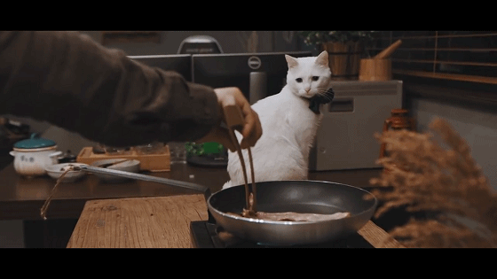 美,而之后在面碗里的摆放,又香色俱全,显得有红有黄,调色偏向温暖调子